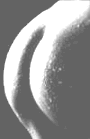 M�nnerakte